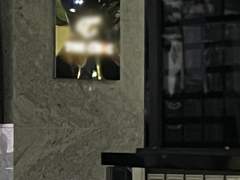 일본 호스트클럽 쇼카이 체험 - 1탄