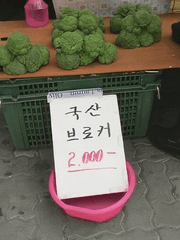 보리꼬리 팝니다