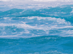 트위터 썰 백업 3