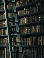 전지적 독자 시점 단편