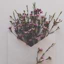 오타쿠질의 기록