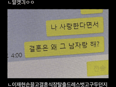 나페스 알페스 커미션