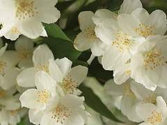 [청밤커] 한 선 / 19 / XX