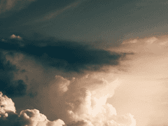 동쪽에서 찾아오는 X