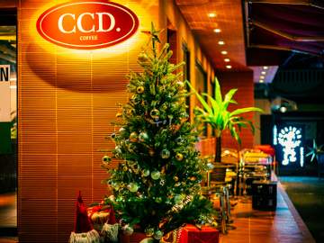 2022년 늦가을, Early Christmas.