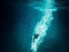 인어와 비늘과 사랑과 인간