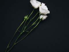 같은 생각이야.