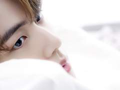 Honeybee Taming (plan J)