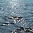 거짓을 말할 수 있는 능력