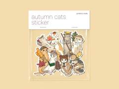 늦은 가을 냥이