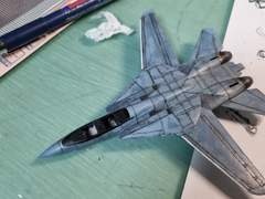 F-14 TOMCAT(1)