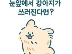 눈앞에서 강아지가 쓰러졌을 때