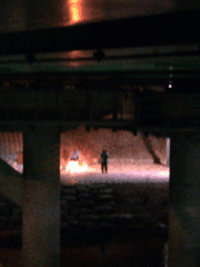 야광 개의 약한 들음