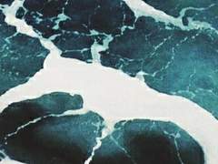 스가와라 켄조 33 XY 중사