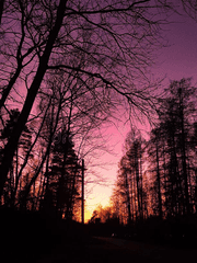 카페에서 퍼온 글 (by 화니쓰219)