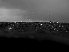 00. ■■■의 삶.