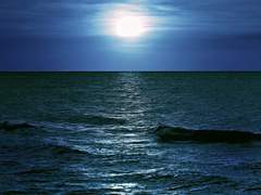 정도평호/ Paradise Highway