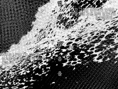 나의 행복으로 점철되어 있는 것들.