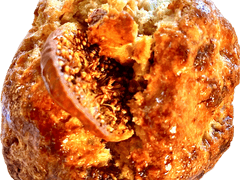 테이퍼드 커피 무화과&블루치즈 스콘