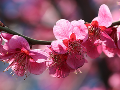 [백천청명] 가출