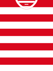 위대한 제리 맥플러피