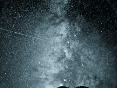 [해리 포터] 산책을 가면