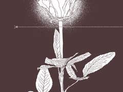 제 1부 제리 맥플러피