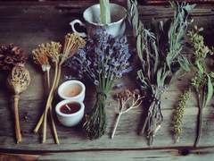 실패는 성공의 어머니