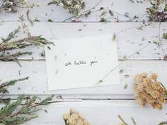 불협화음의 종말은 나선의 시작이므로,