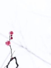 [화산귀환] 매화 조각