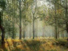 [베가멜리] 첫만남