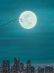 재능에 대한 비판적 사고론