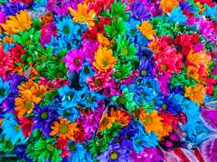 성인용품점이란 건전한 공간