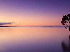 적란 | 37 | 청린회