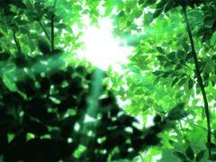 ꕥ 날 바꿔 준 당신에게.