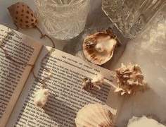 올리비아 메이어 XX 23 Ground