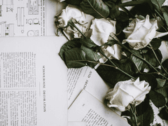 낙하 반작용의 법칙_20