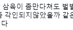 무기미도