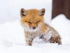 아홉, 그리고 하나