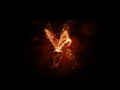 飛蛾赴火 ; 비아부화