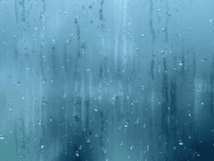 WATER HOUSE : 外 : Ⅱ