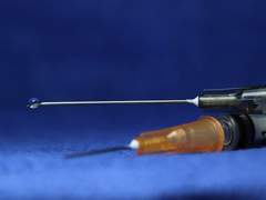 [성강선철]부산항 시골 개 3