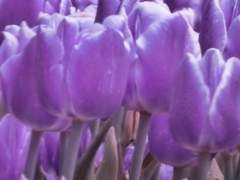 [섭남파업] 섭남파업 플레이리스트