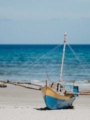 죠죠의 기묘한 모험