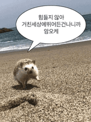 신청서