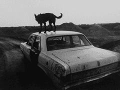 북위 31도의 찬가