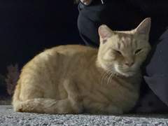 여러분들의 사랑은 무엇으로 완성되나요?