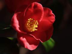 서예지 공개 프로필