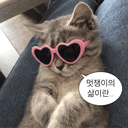 너네뭐하냐지금