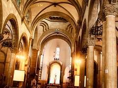 [ 陽球粹 ]프로필